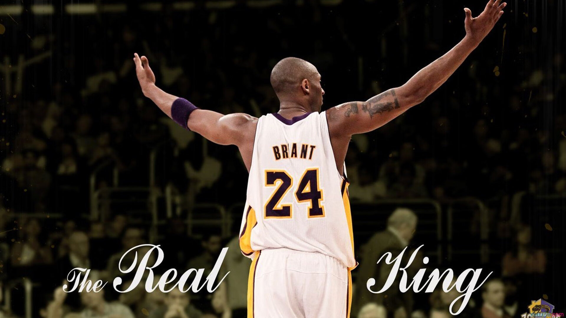 开运app官网-CBA球员用拼搏展现职业风采，cba职业篮球运动员